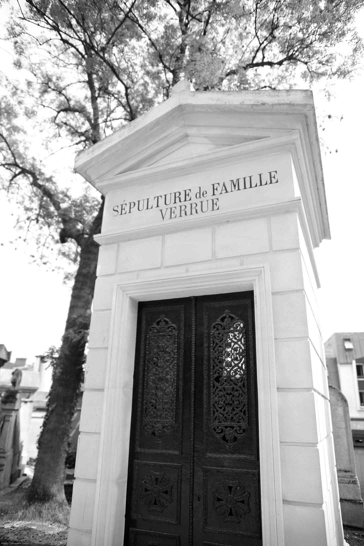 La famille Verrue - Christophe Martel   La famille Verrue - Christophe Martel