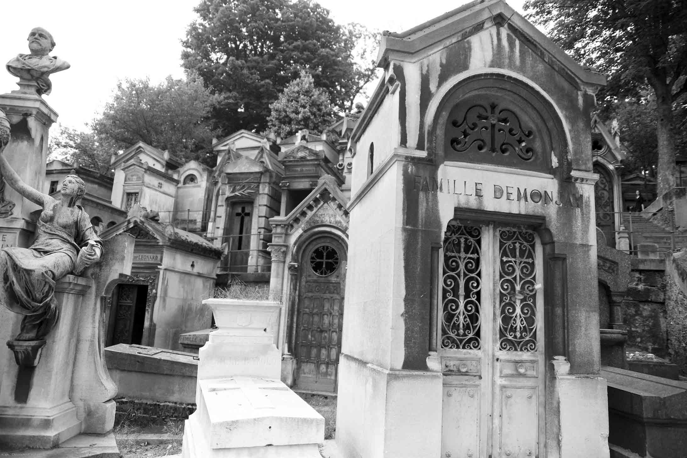 La famille Démon - Christophe Martel   La famille Démon - Christophe Martel