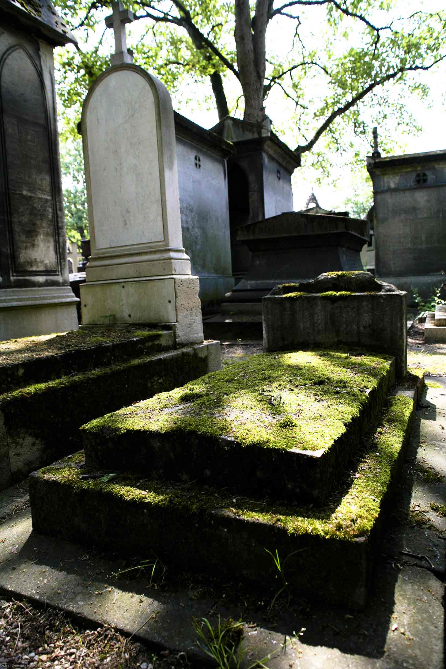 Tombe moussue - Christophe Martel   Tombe moussue - Christophe Martel