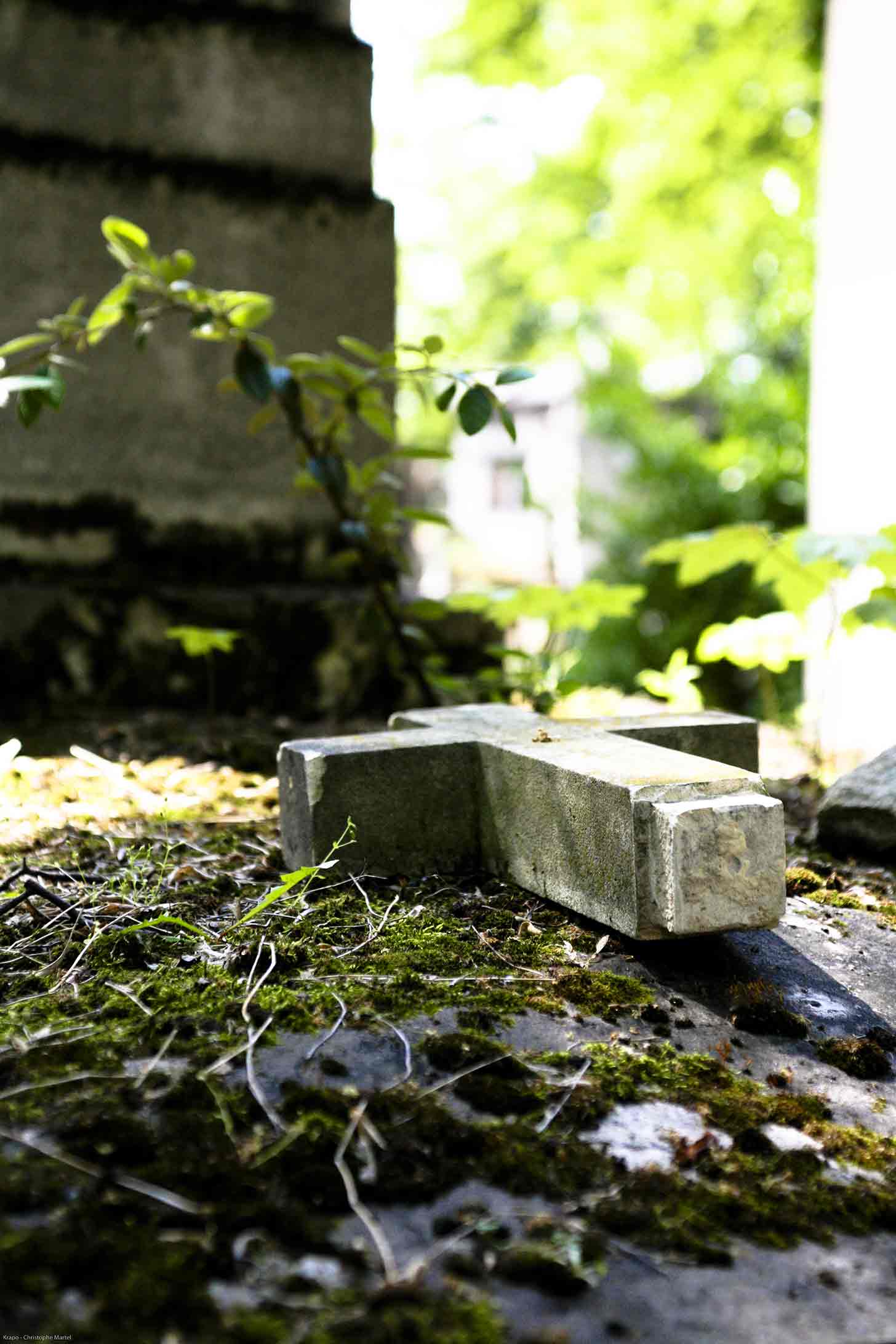 Croix abandonnée - Christophe Martel   Croix abandonnée - Christophe Martel