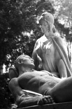  La mort vous va si bien - Christophe Martel 