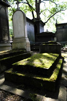  Tombe moussue - Christophe Martel 