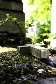  Croix abandonnée - Christophe Martel 